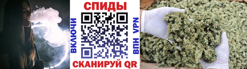 БУТИРАТ BDO где найти Подпорожье