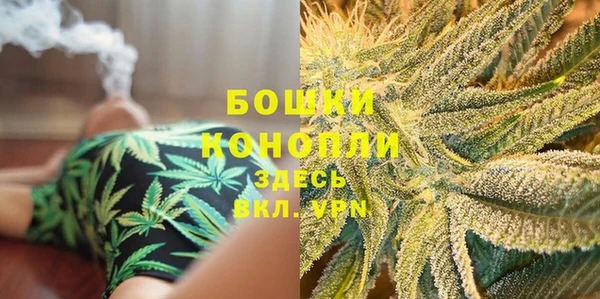 прущий лед Нея