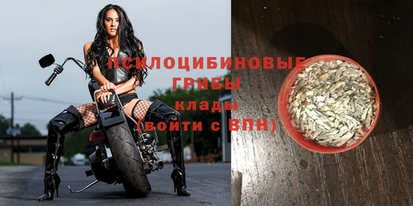 сатива Нефтегорск