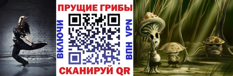 Псилоцибиновые грибы прущие грибы Подпорожье